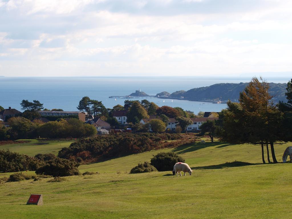Somerfield Lodge Swansea Exteriör bild